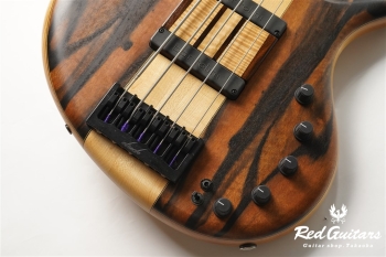 Platinum Series Single-Cut , e-volution 5 - Macassar Ebony